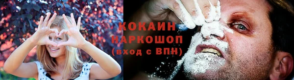 PSILOCYBIN Нягань