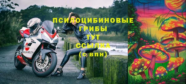 mdma Няндома