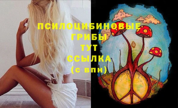 PSILOCYBIN Нягань