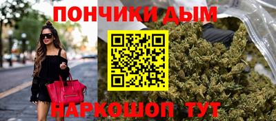 крисы Абакан