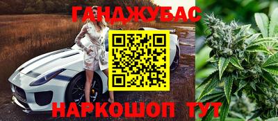 крисы Абакан