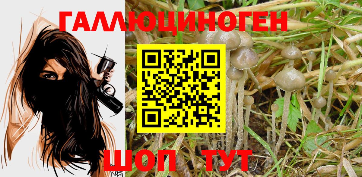 Галлюциногенные грибы Cubensis  Алексеевка  Галлюциногенные грибы Magic Shrooms 