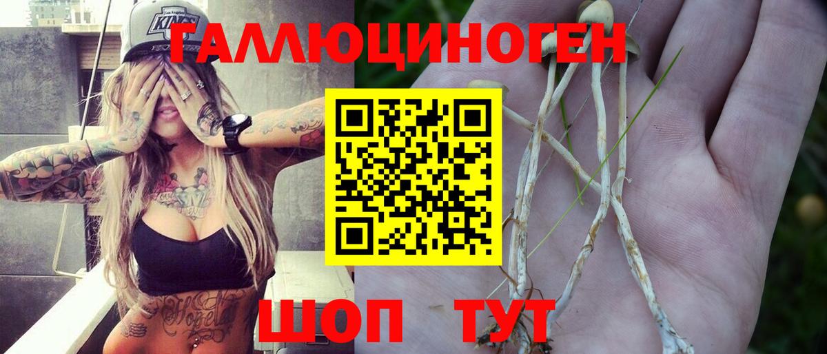 Псилоцибиновые грибы MAGIC MUSHROOMS Алексеевка