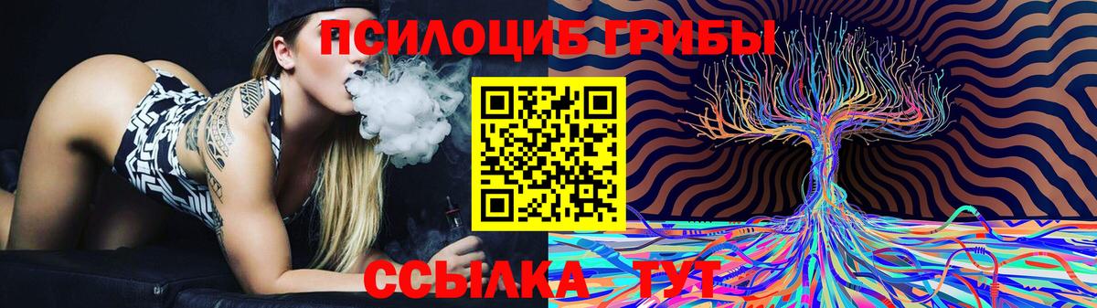 магазин  наркотиков  Псилоцибиновые грибы мухоморы  Вход с VPN  Алексеевка  Галлюциногенные грибы GOLDEN TEACHER 
